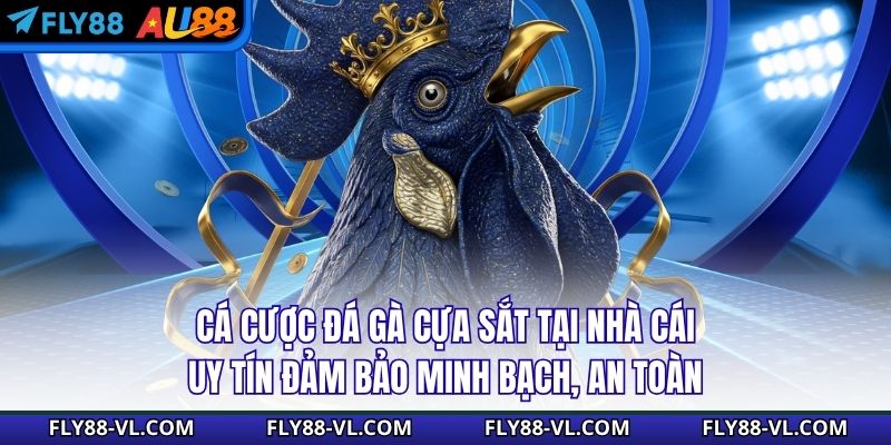 Cá cược đá gà cựa sắt tại nhà cái uy tín đảm bảo minh bạch, an toàn
